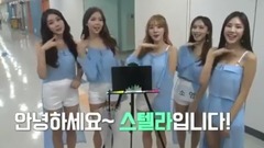 Stellar - SHOW CHAMPION Behind