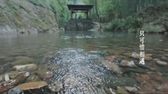杨幂 - 绣春刀II修罗战场  更多  主题曲MV