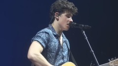 Shawn Mendes - Three Empty Words