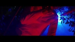 欧美群星 - Purple Ape