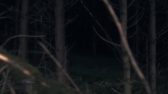 音乐短片 - Adagio