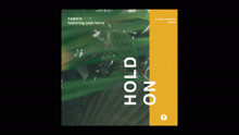 Josh Barry,Fabich - Josh Barry & Fabich - Hold On