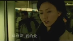 孙燕姿 - 我的爱