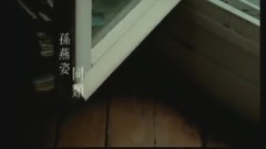 孙燕姿 - 同类