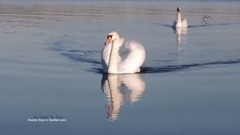 New - So Close To You