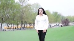 华语群星,民乐群星 - 再见,最美的时光