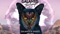 True Feeling (Galantis & shndō VIP mix) (Official Audio)