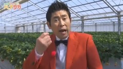 AKB48,SKE48 - マギー&SKE48のハナタカ 菅原茉椰 17/07/01