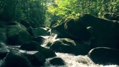 音乐短片 - 天然泳池