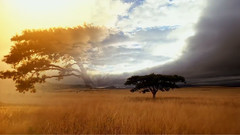 音乐短片 - 古巴:意外的伊甸园(Nature Cuba:The Accidental Eden)