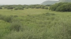 音乐短片 - 西盟达茂草原风光