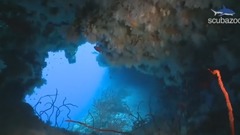 音乐短片 - Scuba Diving Ma|dives