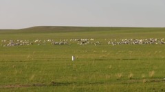 音乐短片 - 木兰围场草原5