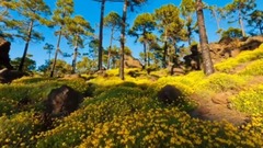 音乐短片 - Cloud Pictures Passing