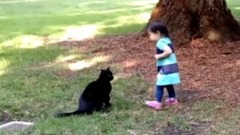 音乐短片,萌宠 - Ferocious Cats Funny Cat Video Compilation 2017