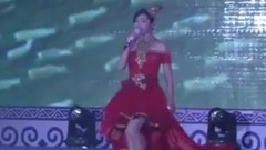 华语群星,民乐群星 - 歌在飞