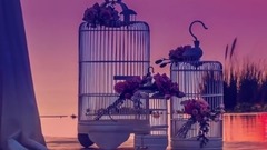 音乐短片 - My Love