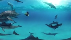 音乐短片 - 10 Most Dangerous Waters in the World