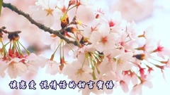 音乐短片 - 你潇洒我漂亮