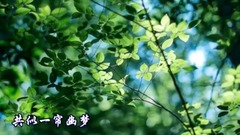 音乐短片 - 一帘幽梦