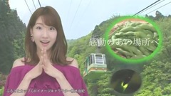 AKB48,柏木由纪,NGT48 - 柏木由紀 弥彦競輪 ふるさとカップGiii CM 15s