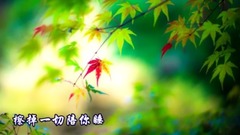 音乐短片 - 香水有毒