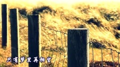 音乐短片 - 车站