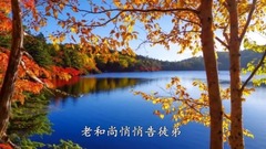 音乐短片 - 女人是老虎