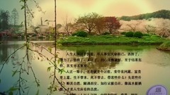 音乐短片 - 总有一份遇见,唯美了整个曾经 . yixin映画