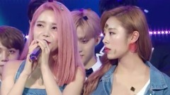 MAMAMOO - NO.1