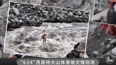 二更 - 身边人-这几天,全国人都被一条狗感动了