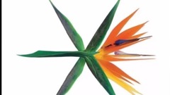 Apink,EXO,ZICO(Block B),Heize,BLACKPINK - Gaon Chart TOP 20 Korea Billboard July 七月 Week 周 3 2017 KPOP CHART KPC