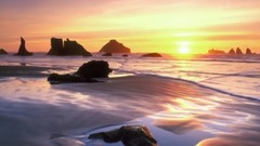 音乐短片 - 珍重生命