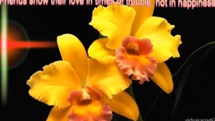 音乐短片 - Dilbar Mere...GOOD MORNING Messaging video -Whatsapp