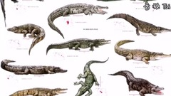 音乐短片 - ПОЙМАН САМЫЙ БОЛЬШОЙ КРОКОДИЛ В МИРЕ!