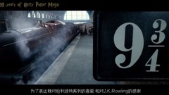 音乐短片 - 【拌饭观影vol.2】《哈利波特与嘻哈》我觉得还可以(燃向)