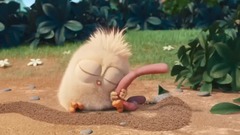 音乐短片 - 呆萌的幼鸟