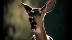 音乐短片 - Ghost livestock animals The angry birds