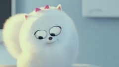 音乐短片 - 愤怒的小鸟 Angry Birds 预告片 2、P2