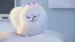 音乐短片 - 愤怒的小鸟 Angry Birds 预告片 1、P1