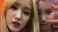 LABOUM,MOMO LAND - LABOUM/momoland - 律喜,JOOE live直播