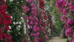 风景,音乐短片 - GIOVANNI MARRADI - Romantico