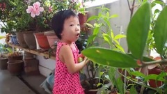 音乐短片 - 拔萝卜