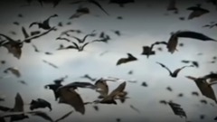 音乐短片 - 40年无法解释唐山震前惊现一幕