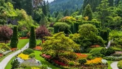 音乐短片 - 莎莉花园