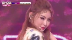 金请夏 - Why Don't You Know