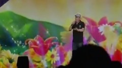 群星,华语群星,亚洲群星,模仿翻唱 - 大花轿