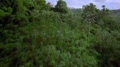 音乐短片 - Ужасы Амазонии 11 Страшных Cуществ Амазонки