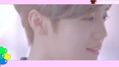 鹿晗,吴世勋(EXO) - 【勋鹿】告白气球