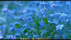 模仿翻唱 - 匆匆那年
